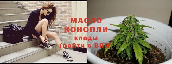 сатива Беломорск