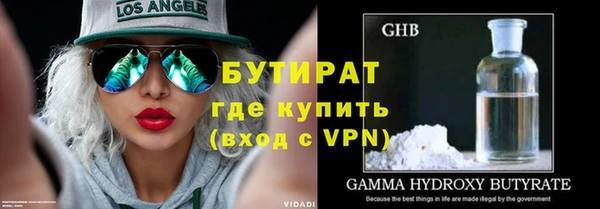 сатива Беломорск