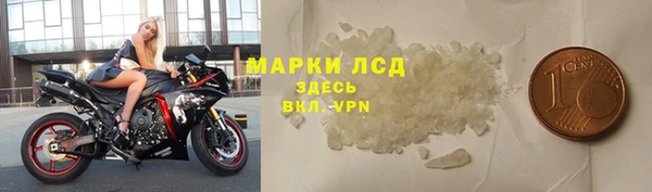 сатива Беломорск