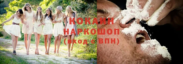 сатива Беломорск