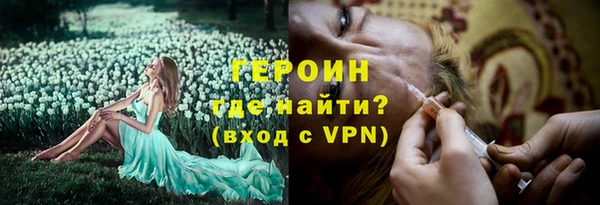 сатива Беломорск