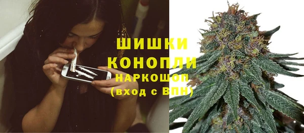 сатива Беломорск