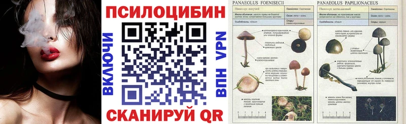 Псилоцибиновые грибы мухоморы  кракен зеркало  Верхний Тагил 